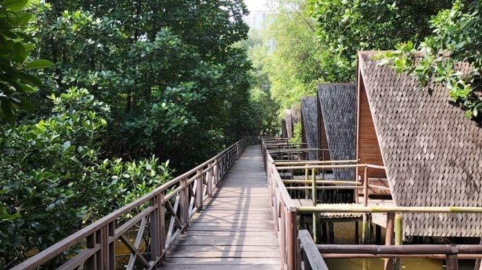 Liburan Edukatif ke Taman Mangrove Angke Kapuk Jakarta