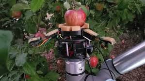 Robot Pemilah Buah, Hasil Panen Jadi Lebih Berkualitas